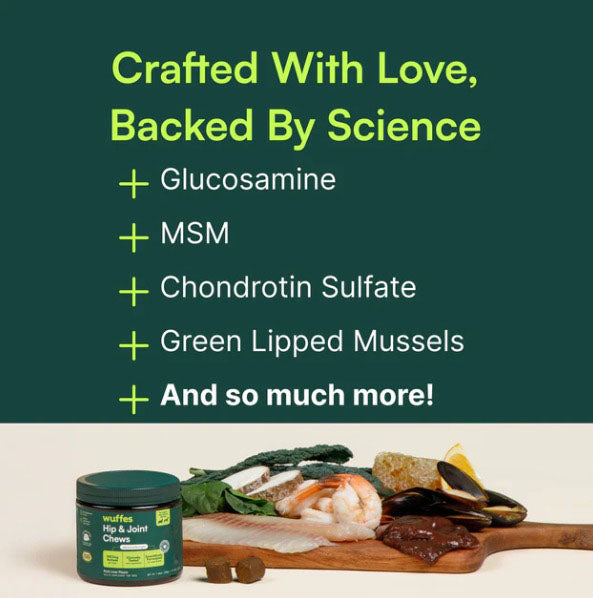 Hip & Joint Chews