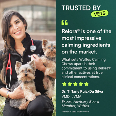 Dr. Tiffany Ruiz-Da Silva