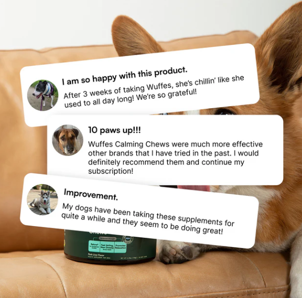 Calming Chews