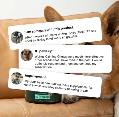 Calming Chews