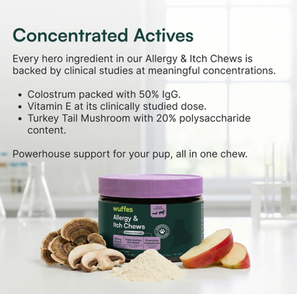 Allergy & Itch Chew