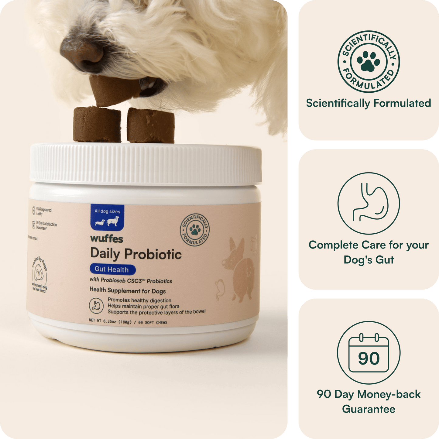 Probiotic Chews