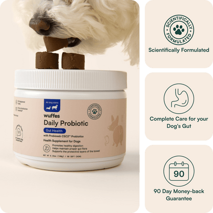 Probiotic Chews